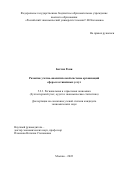 Баттих Рони. Развитие учетно-аналитической системы организаций сферы гостиничных услуг: дис. кандидат наук: 00.00.00 - Другие cпециальности. ФГБОУ ВО «Российский экономический университет имени Г.В. Плеханова». 2022. 235 с.