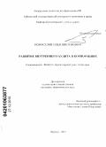 Новоселов, Илья Викторович. Развитие внутреннего аудита в корпорациях: дис. кандидат экономических наук: 08.00.12 - Бухгалтерский учет, статистика. Иркутск. 2010. 231 с.