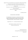 Белов Антон Алексеевич. Реакционное искровое плазменное спекание минералоподобной керамики для безопасной иммобилизации радионуклидов стронция: дис. кандидат наук: 00.00.00 - Другие cпециальности. ФГАОУ ВО «Дальневосточный федеральный университет». 2023. 128 с.