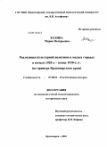 Холина, Мария Валерьевна. Реализация культурной политики в малых городах в начале 1920-х - конце 1930-х гг.: на примере Красноярского края: дис. кандидат исторических наук: 07.00.02 - Отечественная история. Красноярск. 2010. 262 с.