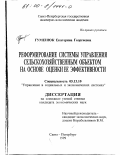 Гуменюк, Екатерина Георгиевна. Реформирование системы управления сельскохозяйственным объектом на основе оценки ее эффективности: дис. кандидат экономических наук: 05.13.10 - Управление в социальных и экономических системах. Санкт-Петербург. 1999. 234 с.