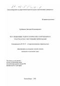 Трубников, Дмитрий Владимирович. Регуляционные гидротехнические сооружения на участках рек с мостовыми переходами: дис. кандидат технических наук: 05.23.07 - Гидротехническое строительство. Новосибирск. 2001. 165 с.