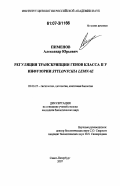 Пименов, Александр Юрьевич. Регуляция транскрипции генов класса II у инфузории Stylonychia lemnae: дис. кандидат биологических наук: 03.00.25 - Гистология, цитология, клеточная биология. Санкт-Петербург. 2007. 106 с.