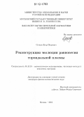 Сучков, Егор Петрович. Реконструкция эволюции равновесия тороидальной плазмы: дис. кандидат физико-математических наук: 05.13.18 - Математическое моделирование, численные методы и комплексы программ. Москва. 2012. 113 с.