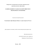 Семиглазов Георгий Сергеевич. Рецепция философии Фридриха Ницше в теориях анархизма XX века: дис. кандидат наук: 00.00.00 - Другие cпециальности. ФГАОУ ВО «Национальный исследовательский университет «Высшая школа экономики». 2023. 281 с.