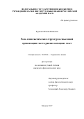 Рудакова, Жанна Ивановна. Роль гипотактических структур в смысловой организации текста ранних немецких газет: дис. кандидат наук: 10.02.04 - Германские языки. Москва. 2017. 312 с.