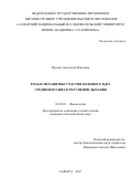 Орлова Анастасия Олеговна. Роль и механизмы участия большого ядра срединного шва в регуляции дыхания: дис. кандидат наук: 03.03.01 - Физиология. ФГБНУ «Научно-исследовательский институт нормальной физиологии имени П.К. Анохина». 2018. 191 с.