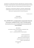 Труфанова Екатерина Сергеевна. Роль ОФЭКТ-КТ в планировании и проведении биопсии сигнальных лимфатических узлов у больных раком молочной железы после проведения неоадъювантной химиотерапии.: дис. кандидат наук: 14.01.12 - Онкология. ФГБУ «Национальный медицинский исследовательский центр онкологии имени Н.Н. Петрова» Министерства здравоохранения Российской Федерации. 2018. 104 с.