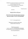 Минкевич, Наталья Игоревна. Роль PEDF в образовании фибриллярных внеклеточных структур при миопии: дис. кандидат биологических наук: 03.01.03 - Молекулярная биология. Москва. 2013. 120 с.