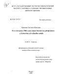 Еремина, Светлана Юрьевна. Роль сенсорных РНК в регуляции биосинтеза рибофлавина у Escherichia coli и Bacillus subtilis: дис. кандидат биологических наук: 03.00.15 - Генетика. Москва. 2008. 118 с.