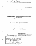 Плохотнюк, Татьяна Николаевна. Российско-германские трансграничные перемещения населения (1871-1925 гг.): историко-компаративный анализ: дис. доктор исторических наук: 07.00.02 - Отечественная история. Ставрополь. 2004. 531 с.