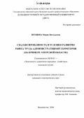 Немцова, Мария Витальевна. Сбалансированность и условия развития рынка труда административной территории: На примере Амурской области: дис. кандидат экономических наук: 08.00.05 - Экономика и управление народным хозяйством: теория управления экономическими системами; макроэкономика; экономика, организация и управление предприятиями, отраслями, комплексами; управление инновациями; региональная экономика; логистика; экономика труда. Хабаровск. 2006. 202 с.