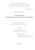 Чиркова Юлия Васильевна. Сетевые игры: равновесное и оптимальное поведение: дис. доктор наук: 00.00.00 - Другие cпециальности. ФГБОУ ВО «Санкт-Петербургский государственный университет». 2023. 690 с.