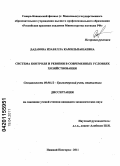 Дадавова, Изабелла Камильпашаевна. Система контроля и ревизии в современных условиях хозяйствования: дис. кандидат экономических наук: 08.00.12 - Бухгалтерский учет, статистика. Нижний Новгород. 2011. 186 с.