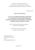 Прокопова Иванна Ивановна. Система обучения восприятию и пониманию русской речи на материале информационно-развлекательных программ интернет-телевидения (Первый сертификационный уровень): дис. кандидат наук: 13.00.02 - Теория и методика обучения и воспитания (по областям и уровням образования). ФГБОУ ВО «Государственный институт русского языка им. А.С. Пушкина». 2020. 308 с.