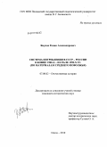 Якупов, Роман Александрович. Система потребления в СССР - России в конце 1980-х - начале 1990-х гг.: по материалам Среднего Поволжья: дис. кандидат исторических наук: 07.00.02 - Отечественная история. Пенза. 2010. 286 с.