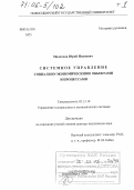 Молотков, Юрий Иванович. Системное управление социально-экономическими объектами и процессами: дис. доктор технических наук: 05.13.10 - Управление в социальных и экономических системах. Новосибирск. 2004. 456 с.