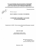 Шамсудинова, Сельминаз Эфендиевна. Словообразование глаголов в лакском языке: дис. кандидат филологических наук: 10.02.02 - Языки народов Российской Федерации (с указанием конкретного языка или языковой семьи). Махачкала. 2009. 187 с.