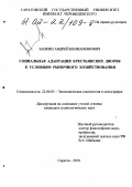 Заикин, Андрей Вениаминович. Социальная адаптация крестьянских дворов к условиям рыночного хозяйствования: дис. кандидат социологических наук: 22.00.03 - Экономическая социология и демография. Саратов. 2001. 182 с.