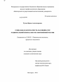 Чумак, Ирина Александровна. Социальная безопасность как индикатор национальной безопасности современной России: дис. кандидат наук: 23.00.02 - Политические институты, этнополитическая конфликтология, национальные и политические процессы и технологии. Пятигорск. 2013. 150 с.