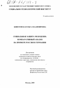 Животовская, Ольга Владимировна. Социальная защита молодежи: Компаративный анализ на примере России и Германии: дис. кандидат социологических наук: 22.00.04 - Социальная структура, социальные институты и процессы. Москва. 2000. 163 с.