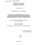 Ипполитова, Нина Александровна. Социально-экономическая среда и факторы развития горнодобывающей промышленности Иркутской области: дис. кандидат географических наук: 25.00.24 - Экономическая, социальная и политическая география. Иркутск. 2005. 190 с.