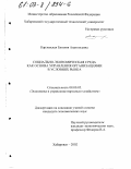 Карловская, Евгения Анатольевна. Социально-экономическая среда как основа управления организациями в условиях рынка: дис. кандидат экономических наук: 08.00.05 - Экономика и управление народным хозяйством: теория управления экономическими системами; макроэкономика; экономика, организация и управление предприятиями, отраслями, комплексами; управление инновациями; региональная экономика; логистика; экономика труда. Хабаровск. 2002. 179 с.