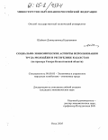 Шайкин, Динмухаммед Нурланович. Социально-экономические аспекты использования труда молодёжи в Республике Казахстан: На примере Северо-Казахстанской области: дис. кандидат экономических наук: 08.00.05 - Экономика и управление народным хозяйством: теория управления экономическими системами; макроэкономика; экономика, организация и управление предприятиями, отраслями, комплексами; управление инновациями; региональная экономика; логистика; экономика труда. Омск. 2005. 179 с.