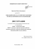 Прокопенко, Максим Владимирович. Социальный капитал в аграрной сфере экономики России как ключевой фактор ее модернизации: дис. кандидат экономических наук: 08.00.01 - Экономическая теория. Ростов-на-Дону. 2010. 193 с.