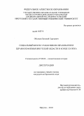 Оболкин, Евгений Сергеевич. Социальный протест работников образования и здравоохранения Иркутской области в конце XX века: дис. кандидат исторических наук: 07.00.02 - Отечественная история. Иркутск. 2010. 290 с.