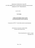 Чэ Тунбо. Социоантропные константы в религиозной культуре Китая: дис. кандидат философских наук: 09.00.14 - Философия религии и религиоведение. Искусствоведение и культурология. Чита. 2011. 208 с.