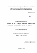 Аксёнова Анна Владимировна. Социокультурное развитие провинциального города Енисейска в последней трети XIX – начале XX в.: дис. кандидат наук: 07.00.02 - Отечественная история. ФГБОУ ВО «Кемеровский государственный университет». 2017. 258 с.