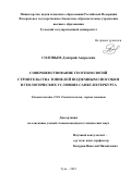 Соловьёв Дмитрий Андреевич. Совершенствование геотехнологий строительства тоннелей подземным способом в геологических условиях Санкт-Петербурга: дис. кандидат наук: 00.00.00 - Другие cпециальности. ФГБОУ ВО «Тульский государственный университет». 2023. 142 с.