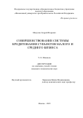 Манухин Андрей Игоревич. Совершенствование системы кредитования субъектов малого и среднего бизнеса: дис. кандидат наук: 00.00.00 - Другие cпециальности. ФГОБУ ВО Финансовый университет при Правительстве Российской Федерации. 2023. 212 с.