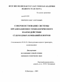 Нюркин, Олег Сергеевич. Совершенствование системы организационно-технологического взаимодействия судоходных компаний и портов: дис. кандидат технических наук: 05.22.19 - Эксплуатация водного транспорта, судовождение. Нижний Новгород. 2009. 177 с.