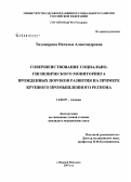 Тихомирова, Наталья Александровна. Совершенствование социально-гигиенического мониторинга врожденных пороков развития на примере крупного промышленного региона: дис. кандидат медицинских наук: 14.00.07 - Гигиена. Нижний Новгород. 2007. 147 с.