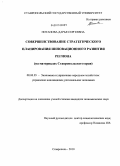 Потапова, Дарья Сергеевна. Совершенствование стратегического планирования инновационного развития региона: на материалах Ставропольского края: дис. кандидат экономических наук: 08.00.05 - Экономика и управление народным хозяйством: теория управления экономическими системами; макроэкономика; экономика, организация и управление предприятиями, отраслями, комплексами; управление инновациями; региональная экономика; логистика; экономика труда. Ставрополь. 2010. 159 с.