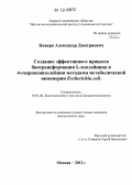 Киверо, Александр Дмитриевич. Создание эффективного процесса биотрансформации L-изолейцина в 4-гидроксиизолейцин методами метаболической инженерии Escherichia coli: дис. кандидат биологических наук: 03.01.06 - Биотехнология (в том числе бионанотехнологии). Москва. 2012. 109 с.