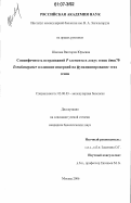 Шилова, Виктория Юрьевна. Специфичность встраиваний P элемента в локус генов бтш70 D. melanogaster и влияние инсерций на функционирование этих генов: дис. кандидат биологических наук: 03.00.03 - Молекулярная биология. Москва. 2006. 99 с.