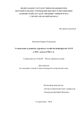 Олейник, Руфина Рушановна. Становление и развитие дорожного хозяйства Башкирской АССР в 1919 - начале 1950-х гг.: дис. кандидат наук: 07.00.02 - Отечественная история. Стерлитамак. 2018. 255 с.