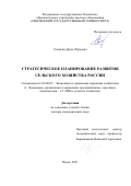 Самыгин Денис Юрьевич. Стратегическое планирование развития сельского хозяйства России: дис. доктор наук: 08.00.05 - Экономика и управление народным хозяйством: теория управления экономическими системами; макроэкономика; экономика, организация и управление предприятиями, отраслями, комплексами; управление инновациями; региональная экономика; логистика; экономика труда. ФГБОУ ВО «Орловский государственный аграрный университет имени Н.В. Парахина». 2022. 354 с.