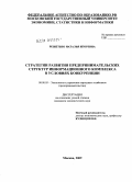 Решетько, Наталья Игоревна. Стратегии развития предпринимательских структур информационного комплекса в условиях конкуренции: дис. кандидат экономических наук: 08.00.05 - Экономика и управление народным хозяйством: теория управления экономическими системами; макроэкономика; экономика, организация и управление предприятиями, отраслями, комплексами; управление инновациями; региональная экономика; логистика; экономика труда. Москва. 2009. 192 с.