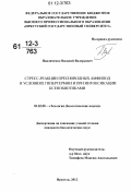 Павличенко, Василий Валерьевич. Стресс-реакции пресноводных амфипод в условиях гипертермии и при интоксикации ксенобиотиками: дис. кандидат биологических наук: 03.02.08 - Экология (по отраслям). Иркутск. 2012. 164 с.