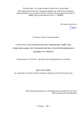 Сжогина, Алина Александровна. Структура и магнитно-релаксационные свойства эндоэдральных фуллеренов железа и их производных в водных растворах: дис. кандидат наук: 01.04.07 - Физика конденсированного состояния. Гатчина. 2017. 144 с.