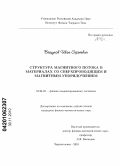 Вещунов, Иван Сергеевич. Структура магнитного потока в материалах со сверхпроводящим и магнитным упорядочением: дис. кандидат физико-математических наук: 01.04.07 - Физика конденсированного состояния. Черноголовка. 2010. 139 с.