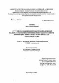 Кирина, Жанна Александровна. Структура поднижнечелюстной слюнной железы в условиях термического ожога кожи и коррекции лимфатического дренажа ожоговой раны: дис. кандидат медицинских наук: 03.00.25 - Гистология, цитология, клеточная биология. Новосибирск. 2005. 197 с.