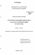 Хазова, Екатерина Петровна. Структурная адаптация стебля и листа Pinus sylvestris L. при интродукции в сухую степь: дис. кандидат биологических наук: 03.00.16 - Экология. Воронеж. 2006. 159 с.