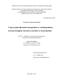 Хамдохов Алим Залимович. Структурно-фазовая однородность субмикронных пленок нитрида титана и способы ее повышения: дис. кандидат наук: 01.04.15 - Молекулярная физика. ФГБОУ ВО «Кабардино-Балкарский государственный университет им. Х.М. Бербекова». 2017. 103 с.