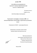 Бессчётнова, Ирина Александровна. Структурный полиморфизм теломерных ДНК и их комплексообразование с белком PGEk - переносчиком нуклеиновых кислот: дис. кандидат физико-математических наук: 03.00.03 - Молекулярная биология. Москва. 2006. 117 с.