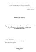 Канаков, Олег Игоревич. Структурообразование в ансамблях нелинейных элементов: неустойчивости, синхронизация, конкуренция, механизмы обучения: дис. кандидат наук: 01.04.03 - Радиофизика. Нижний Новгород. 2016. 192 с.